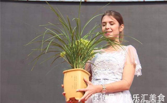 植料|兰花长期不开花,是环境和管理上“惹的祸”,自查3个方面并做好