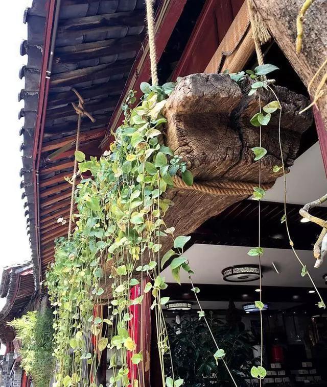 一堆废旧的木头,凭什么让庭院美出了新高度