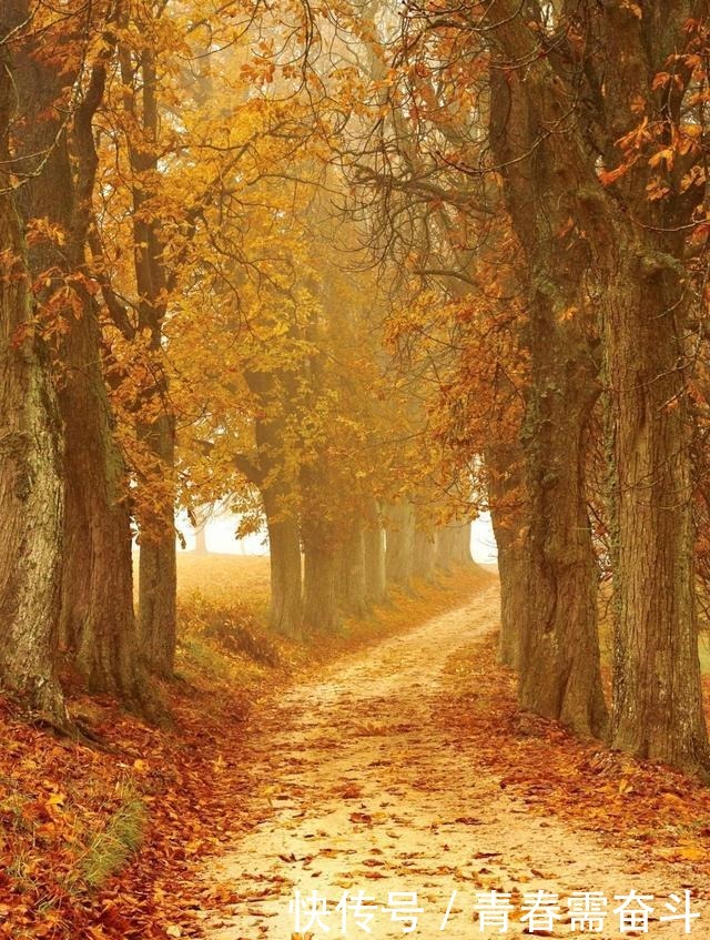 感人至深|53岁陆游深夜坚持读书2万字,事后写诗感慨,短短4句感人至深