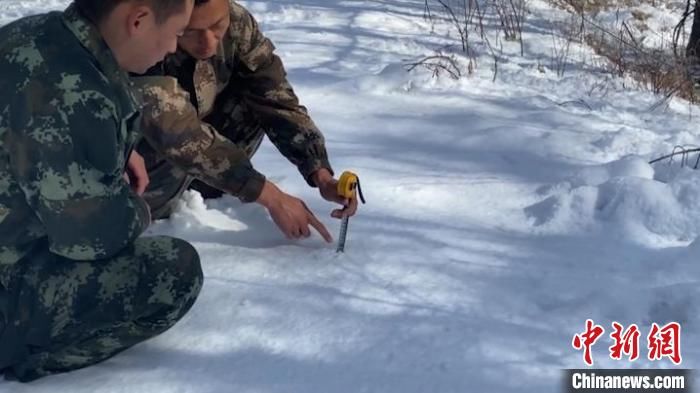 国家级|汗马国家级自然保护区深秋降大雪 雪深达30厘米