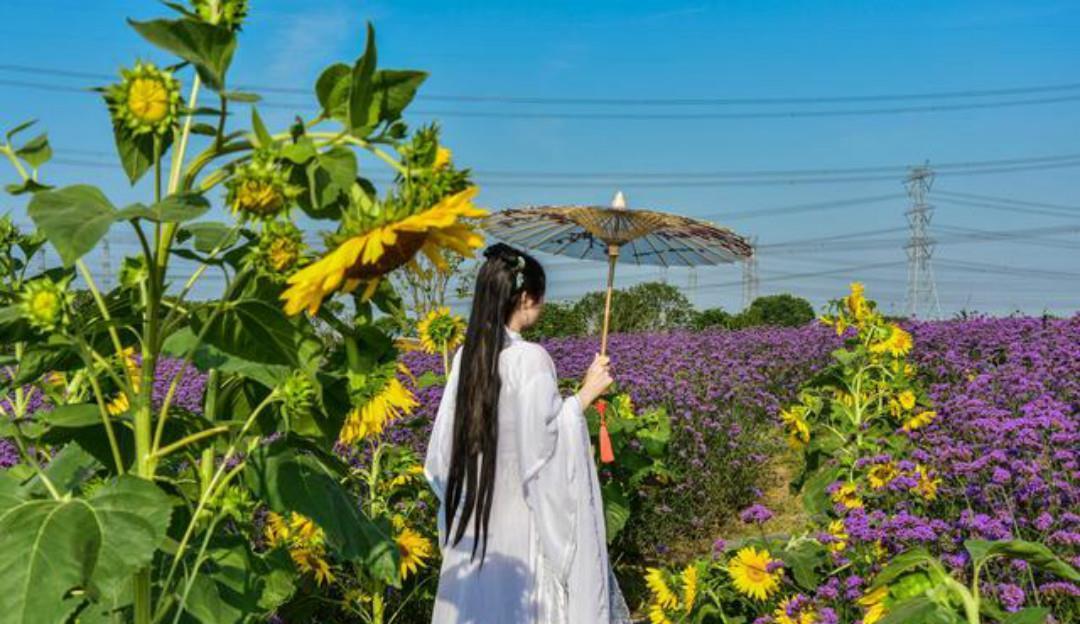 范成大最经典的一首爱情诗,短短的几句,写出了世间最美的爱情!