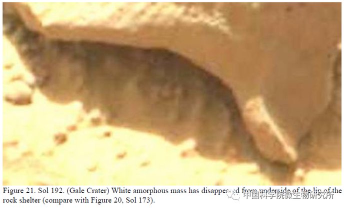 非生物 火星上存在真菌吗？