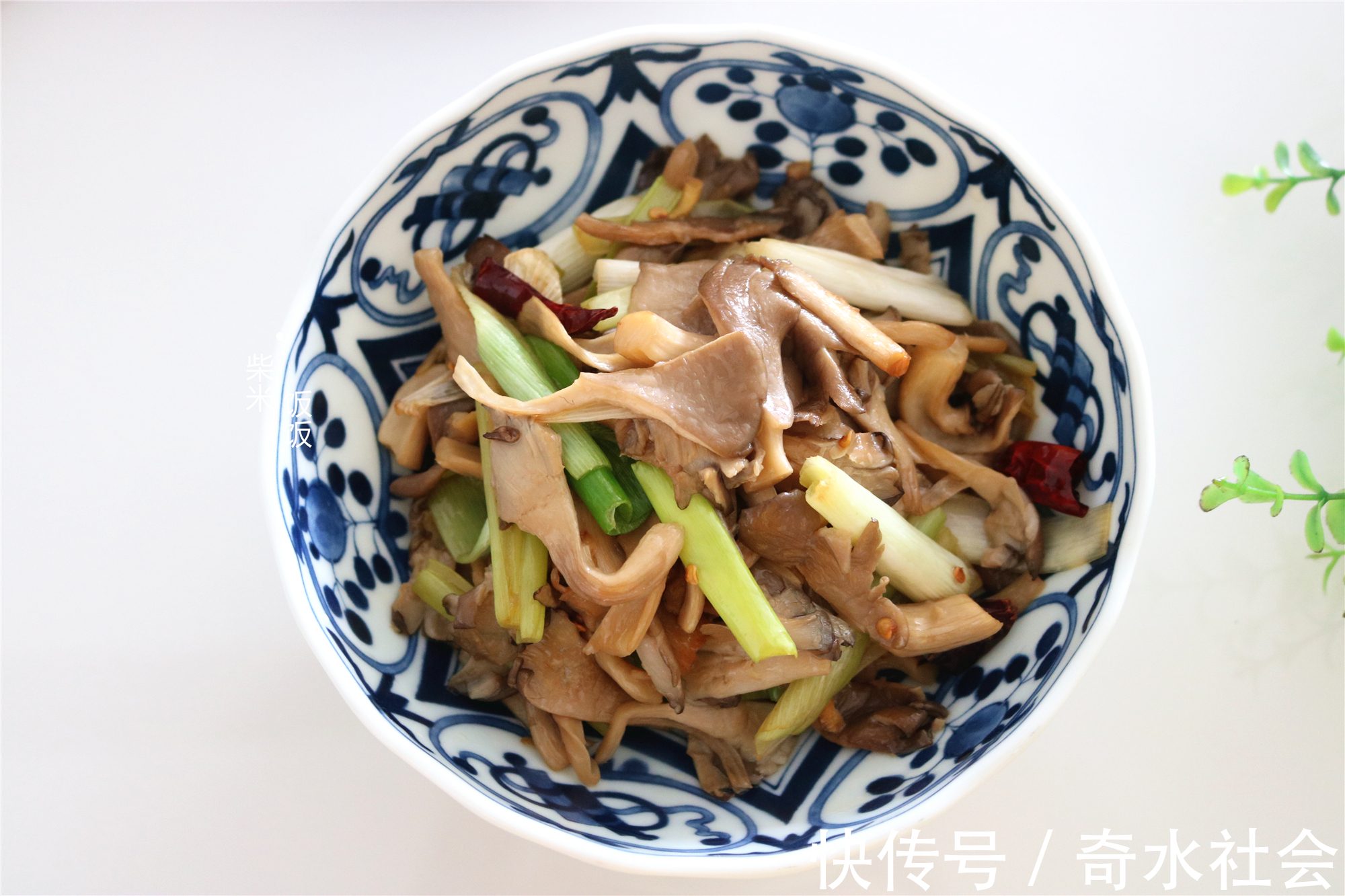 一日三餐|蘑菇和它是绝配，大火一炒，2分钟出锅，鲜香滋味赛过吃肉