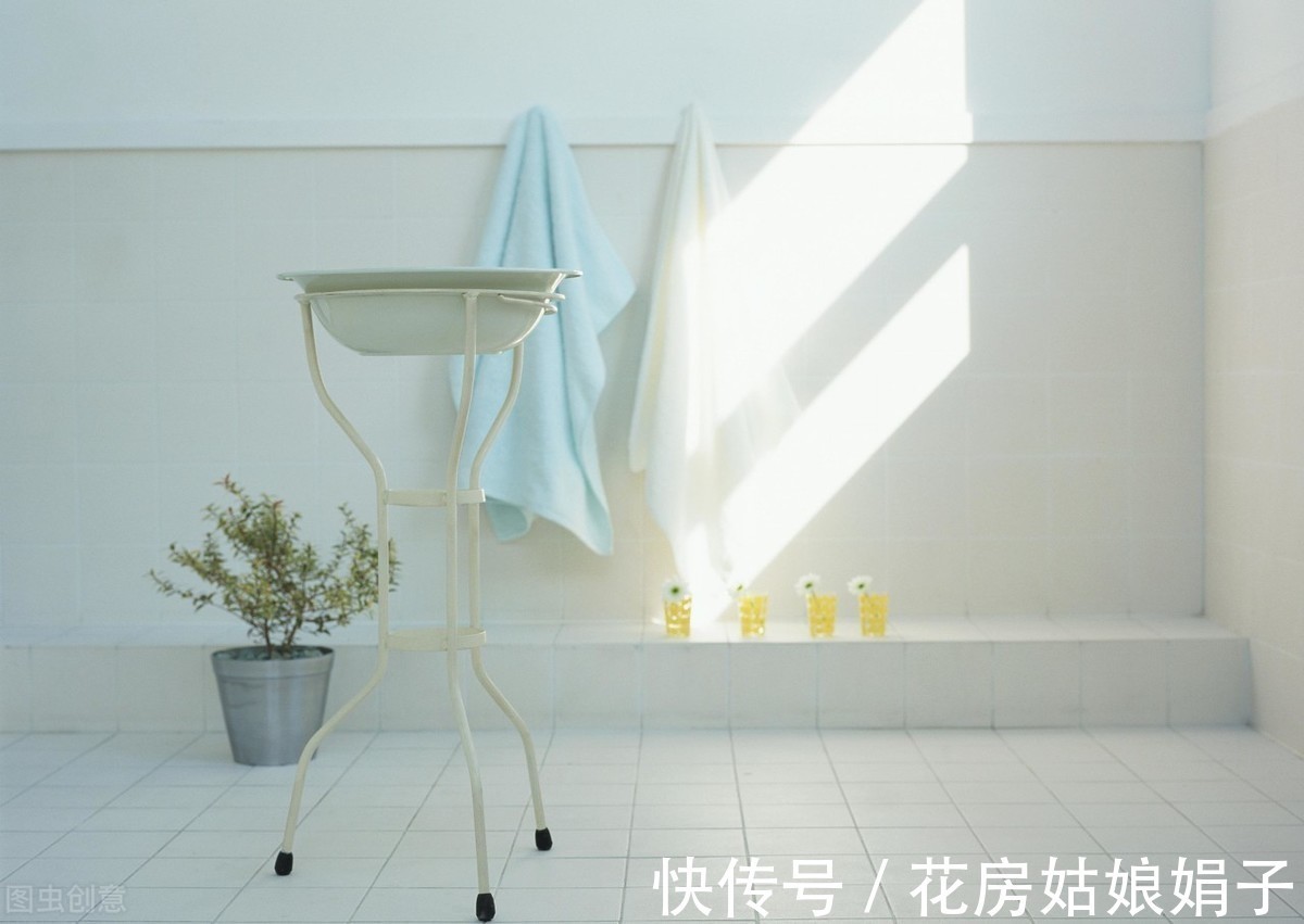 绿植|天热了,卫生间异味遮不住?养上一盆它,异味去无踪,为你解忧