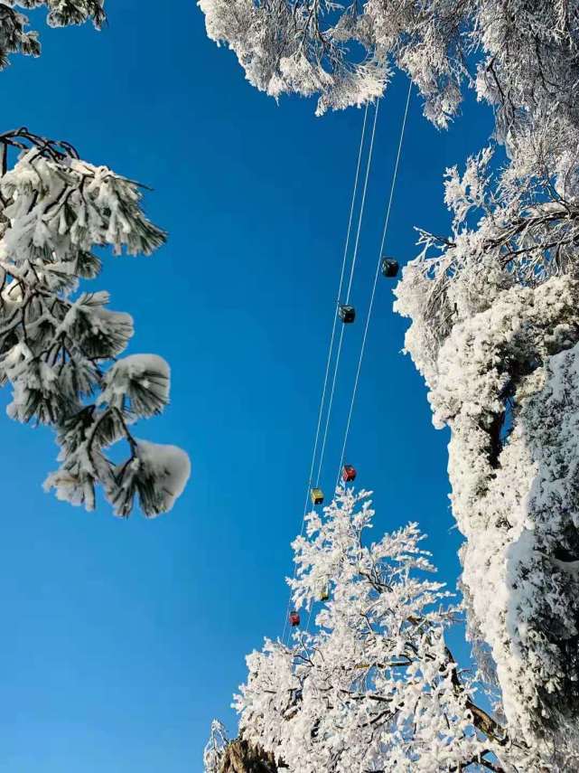 建筑群|大雪后的老君山，仿佛登临仙界，有着琼楼玉宇般的冰雪世界！