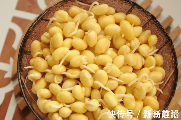 化肥|别再买豆芽了!有豆子就能发,3天就发好,无化肥更健康,超简单