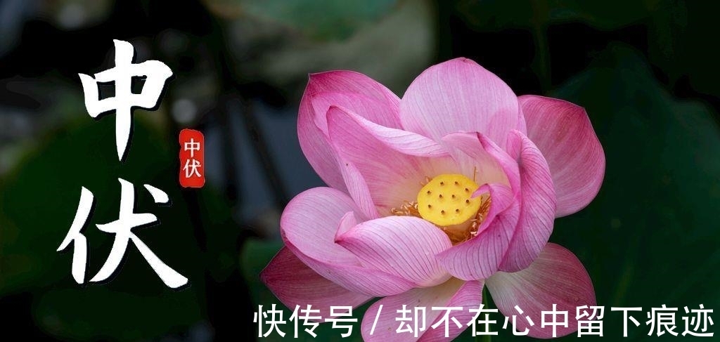 多辛|明日中伏,防暑降温有讲究,饮食少苦多辛加点酸,不懂规矩要吃亏