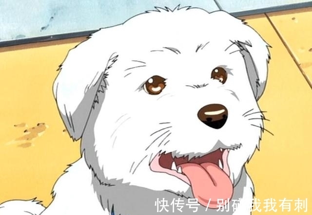 小葵|《蜡笔小新》一家的真实面貌曝光,原来美伢是超级大美女