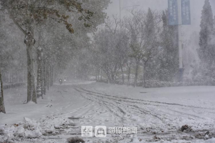 初雪|组图+视频丨德州入冬初雪如期“到货” 积雪已盖住脚背