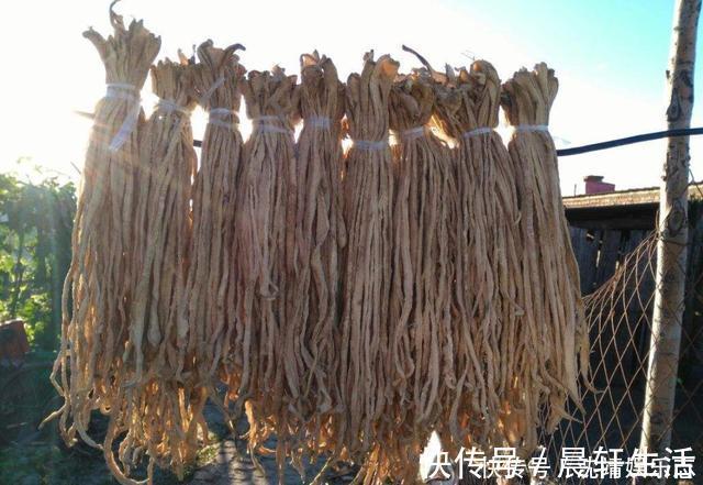 豆角|立秋后,这5种蔬菜,建议一次买20斤,能吃到冬季,炖菜炒肉香