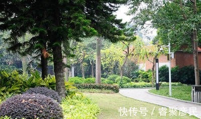 羊城|广州“最大”公园走红，被称“羊城八景之一”，免费开放颇受欢迎