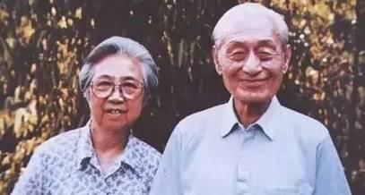 丹参|睡前吃5片,活血不怕堵,老中医几句话适用!