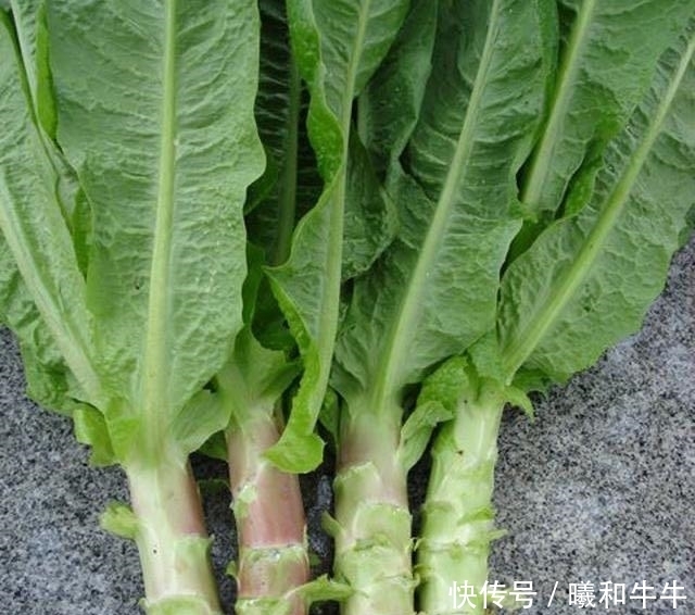 选购|挑选莴笋不是越绿越好,老农教大家5招,轻松选购皮薄脆爽莴笋