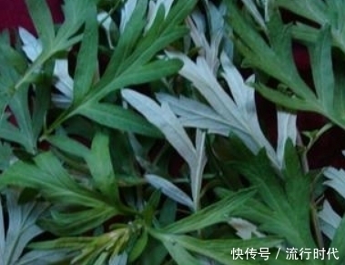 此物|艾叶不能与此物一起食用，却有很多人还不清楚，记得告诉身边人