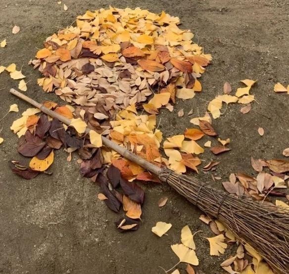 美术老师用落叶“画”出《鬼灭》,黑板画堪称一绝,这都可以?