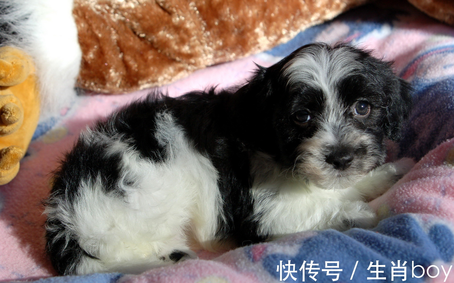 祖宗|不屑于玩心机的星座,如果非要玩,他们绝对是“祖宗”级别的