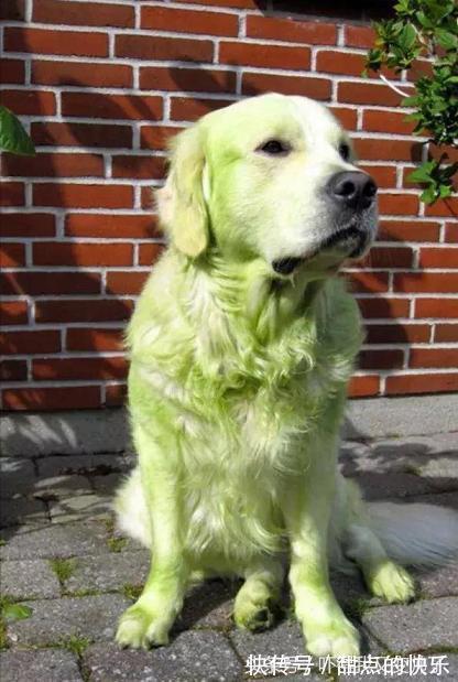 |幽默段子:我和老婆已经结婚十多年了,有一个五岁的闺女