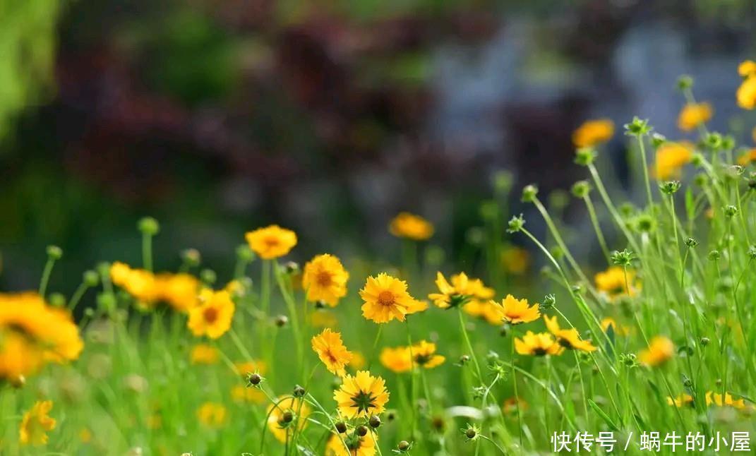 人到晚年，为什么朋友越来越少？除了身体因素外，还与三点有关