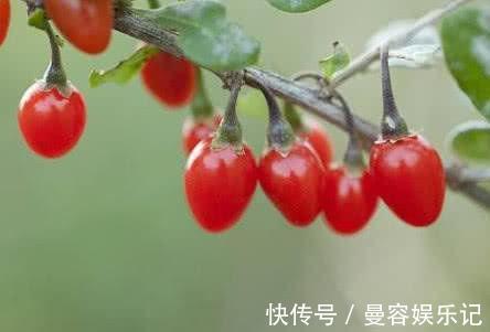 消炎|痔疮反复发作太难受?教你几招,消炎止痛,帮你远离痔疮困扰