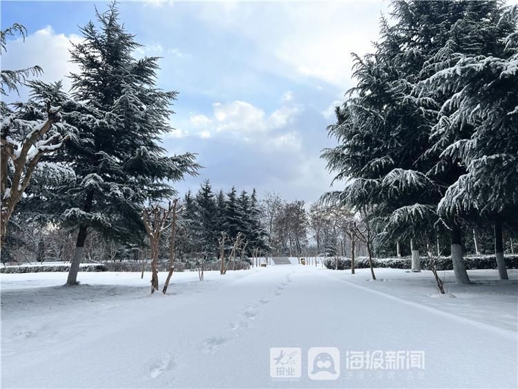 烟台市牟平区沁水河公园雪景美如画|图集| 牟平区