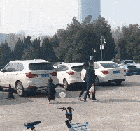 |搞笑GIF:看什么看?赶紧来救我,真装不下去了