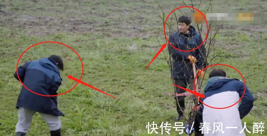 干活|《向往5》干活被质疑作秀，看嘉宾种树时的衣服，是否摆拍很显然