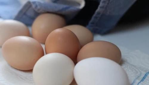 鸡蛋营养大比拼，本鸡蛋、乌鸡蛋、红皮蛋……最佳选择其实是这种