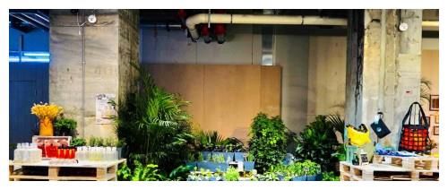 时尚|引领绿色时尚最潮流 U479策展