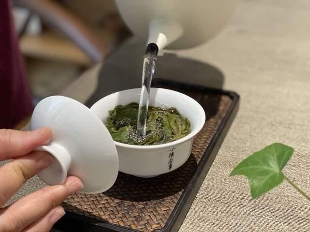  白茶的回甘，是因为“苦尽甘来”？经验丰富的老茶客一语道破玄机