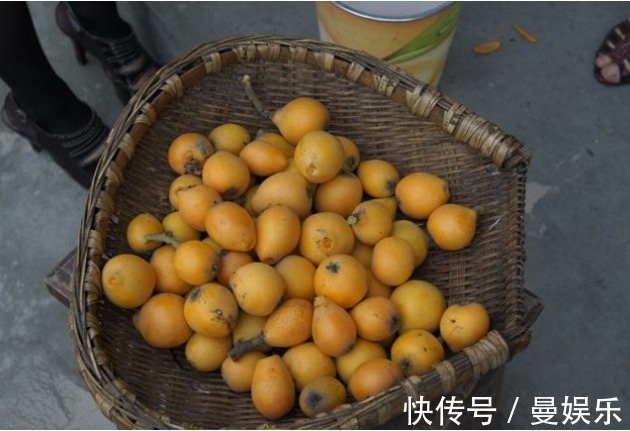 果粉|枇杷清热化痰效果好教你3个妙招挑枇杷,挑到营养好吃又成熟