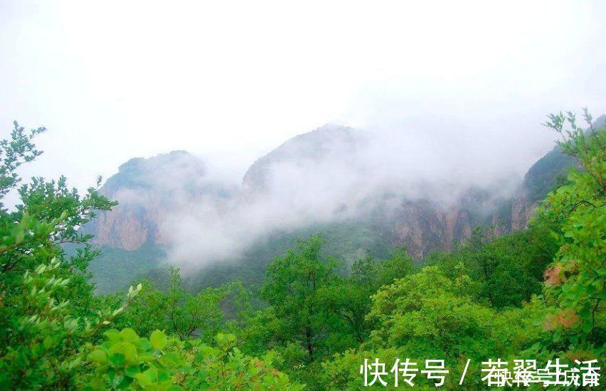 桂花&王维意境很美的一首诗,短短二十字,美到了心坎里