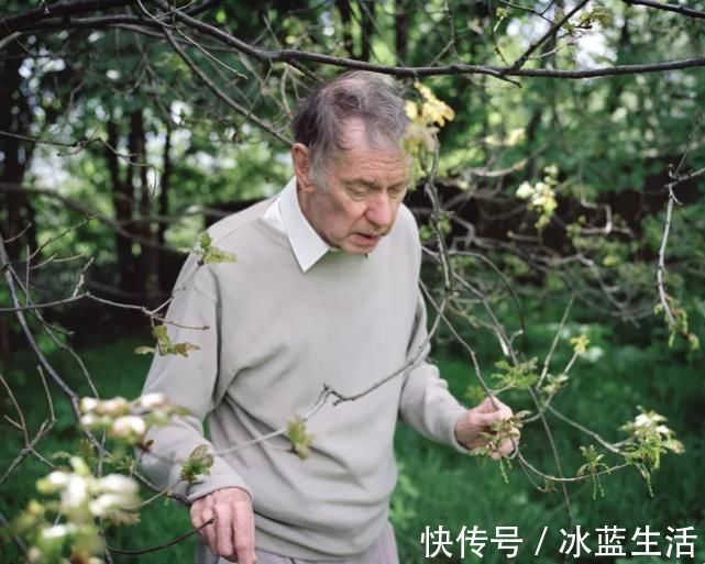 口腔|嘴巴有这4个特征的人,身体很健康容易长寿,看看你有吗