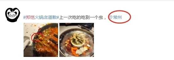 火鍋|鄭愷餐廳又出事?內部員工太誠實