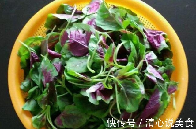 榴莲|患上妇科病后,女人工资少也要舍得多吃4种食物,炎症或慢慢远离