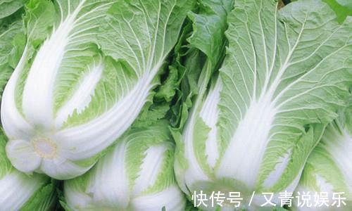 大白菜|炒白菜不能放此种东西，吃了就是自己找罪受，现在清楚还不晚