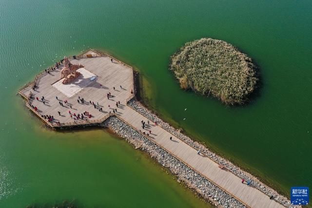 秋日居延海：碧波荡漾、群鸟飞翔|图说 | 碧波