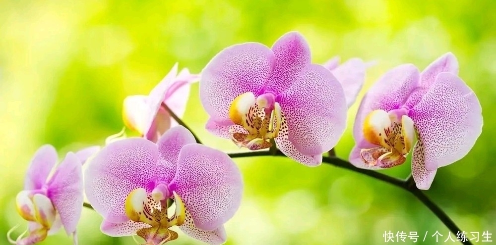 阿姨|62岁阿姨坦言:晚年健康长寿的法宝,并非其他,而是独处