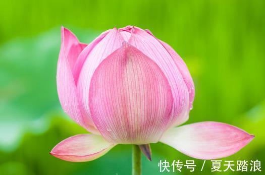 属相|7月下旬,喜鹊报喜,4属相贵人相助,财源广进,成功在望