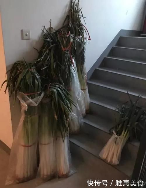 同样都是大葱，看看南方吃的大葱，再看看北方吃的大葱，我凌乱了