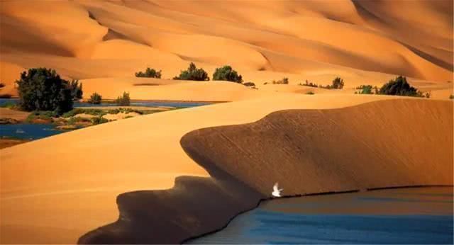 我国最大沙漠底下发现地下“海洋”,水量惊人,水可以直接饮用