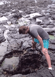 |搞笑GIF:大半夜的,你们要不要这么嗨啊