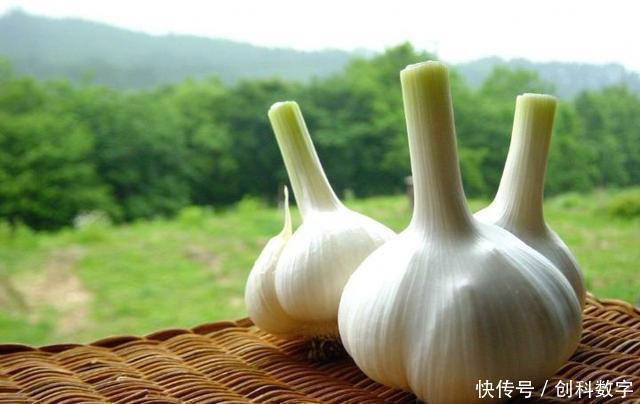 阿莫西林|幽门螺杆菌最怕什么不是大蒜,经常吃,胃慢慢好起来