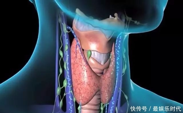 甲减对身体危害,出现这些症状表现,小心得了甲减