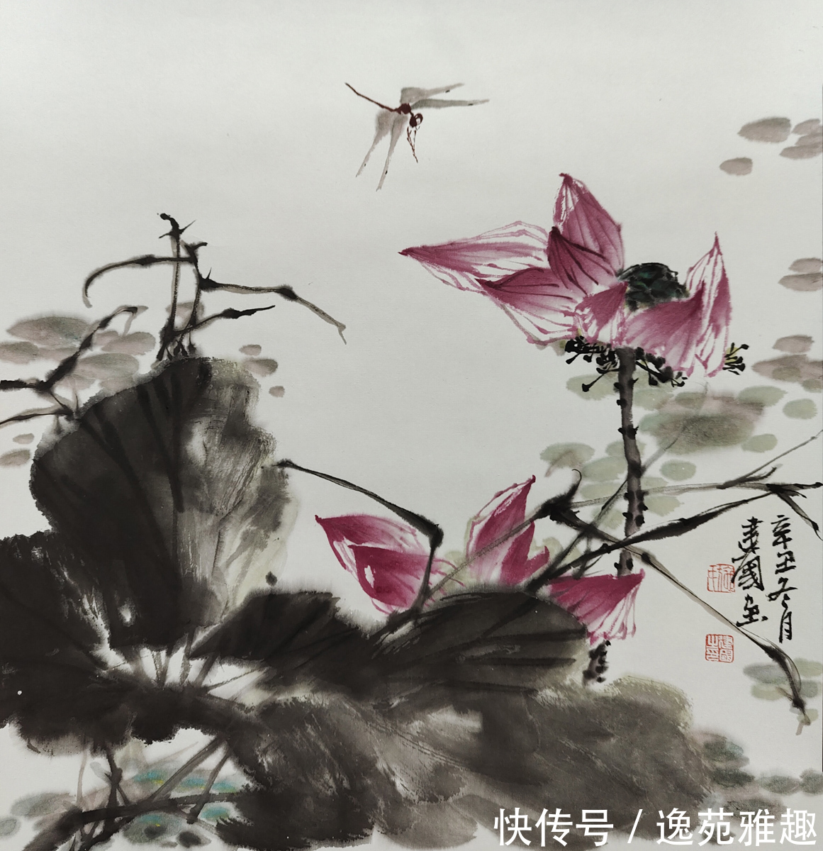 画家@【作品欣赏】春华秋实,心随花开,画家施建国作品欣赏