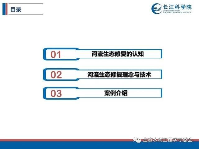河流|「专家视角」许继军：河流生态修复理念、技术与实践