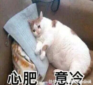 卫衣才是秋冬季的首选!今年流行这4款,时髦百搭又好看