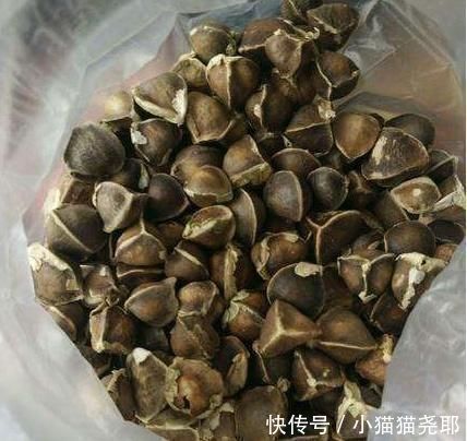 大天亮|它是天然“安眠药”每天泡水喝,安神好眠,一觉睡到“大天亮”