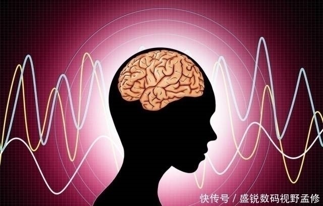 姬松|脑部供血不足,如少做2件事,养成3习惯,脑血管或可干净畅通