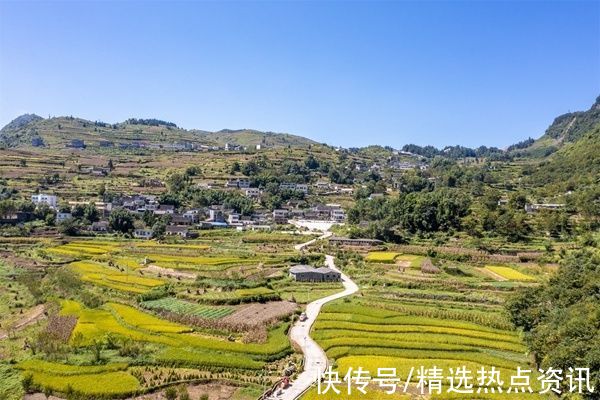 生机镇|贵州毕节：生机镇焕发“生机”稻田景色如画美