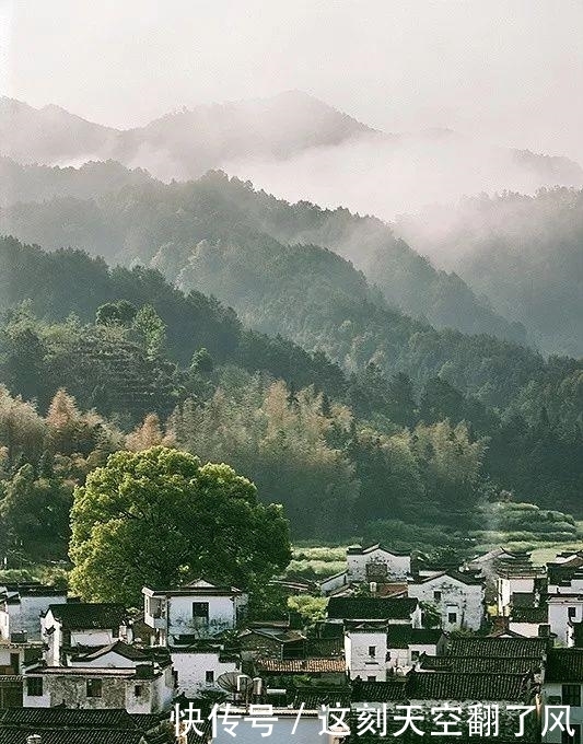 中年|清明时期的婺源除了金黄的油菜花 还有桃花梨花和茶园